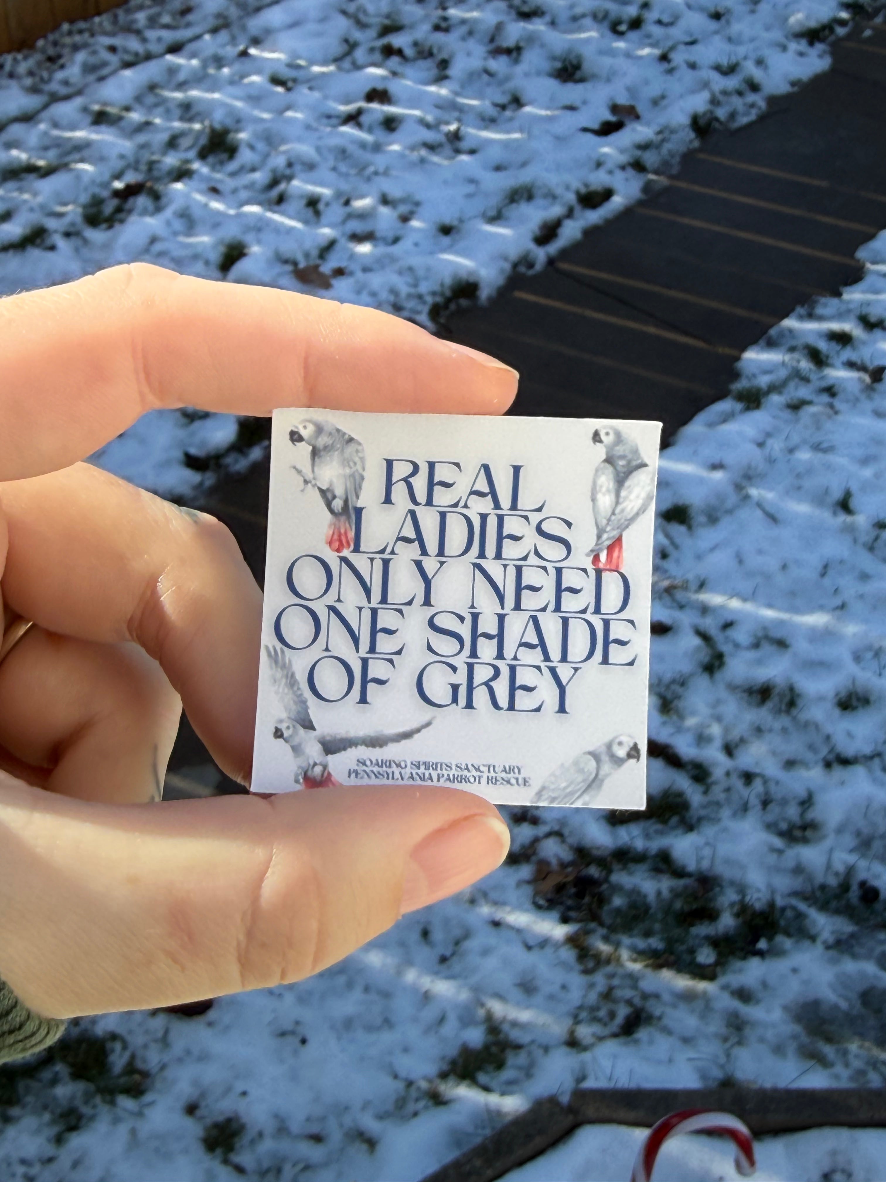 Funny African Grey Sticker